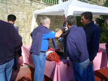 Tremosine 097